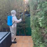Mantenimiento de Propiedades, Jardines y Piscinas en Denia y alrededores