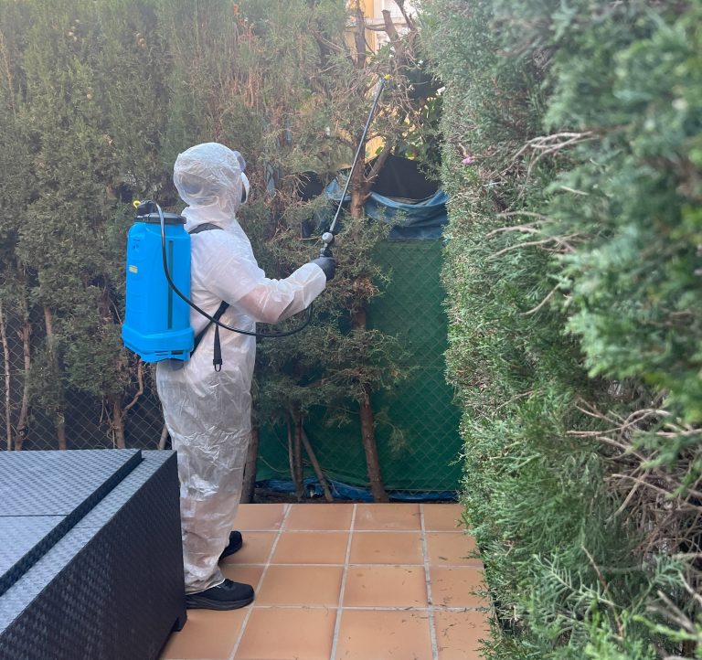 Mantenimiento de Propiedades, Jardines y Piscinas en Denia y alrededores